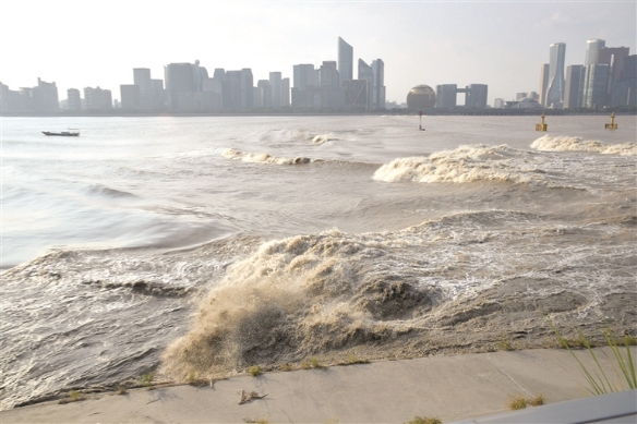 做好“自然修复”这篇生态治理大文章